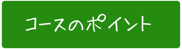 コースノポイント