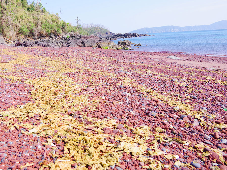 赤浜海水浴場