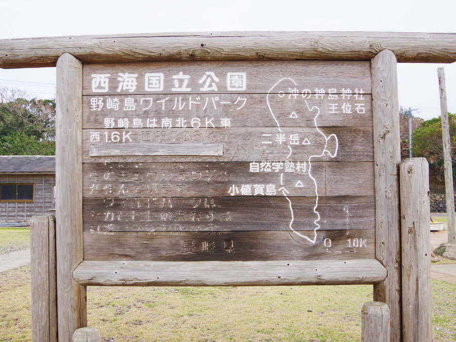連絡船