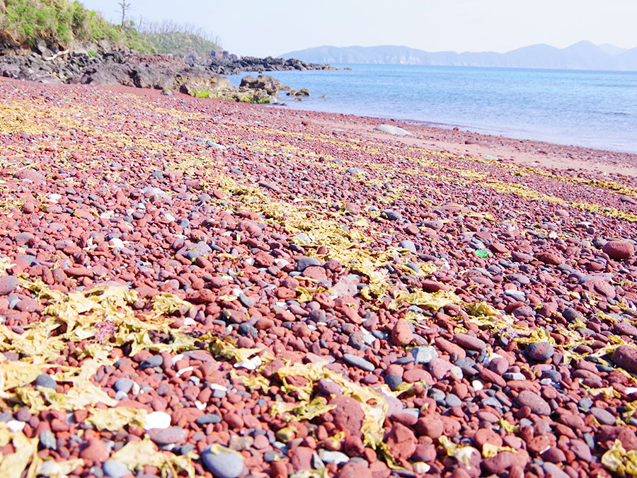 赤浜海岸