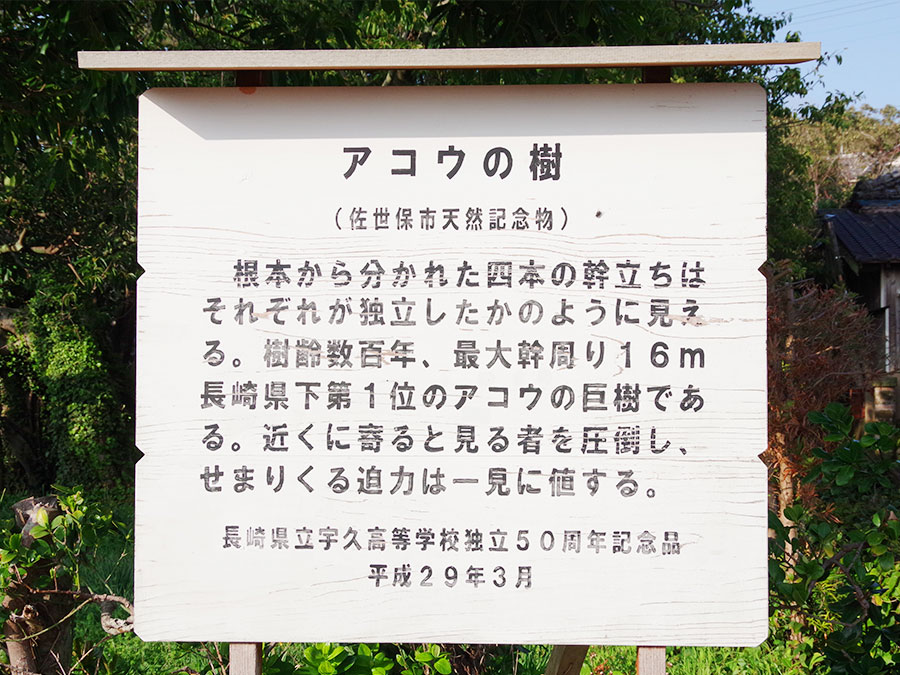 長野県立宇久高等学校独立50周年記念品