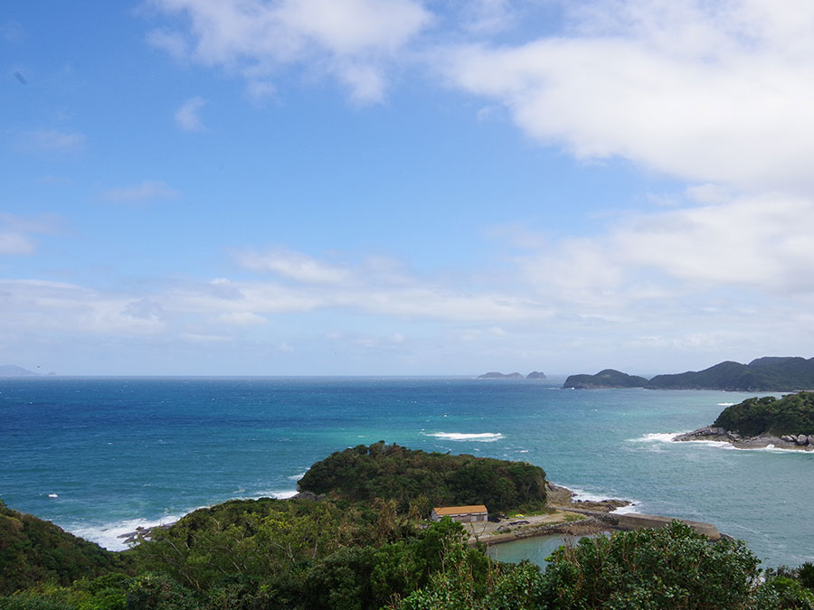 鯨見山展望台からの景色