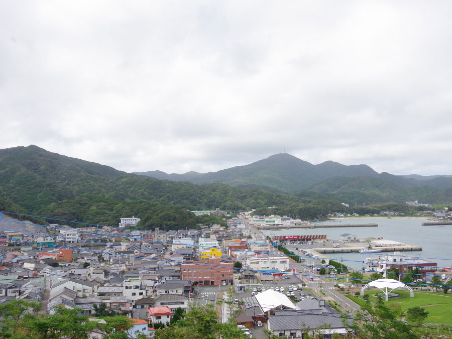 鯨見山展望台からの景色