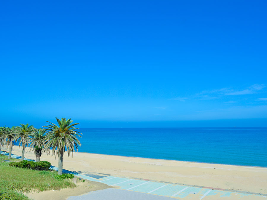 スゲ浜海水浴場の砂浜