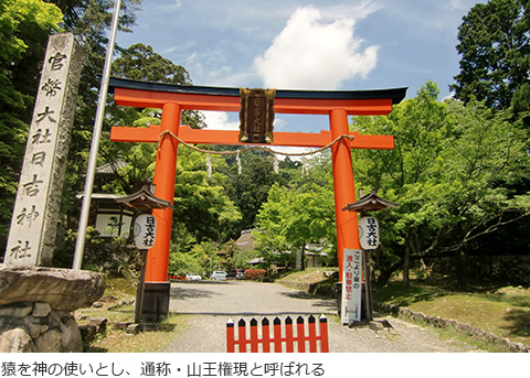 日吉大社