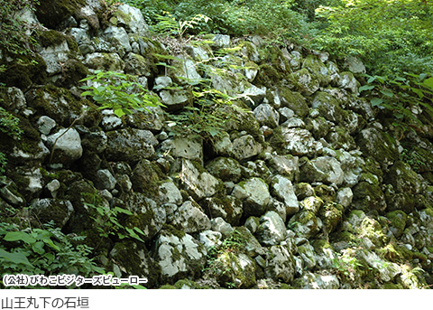 小谷城