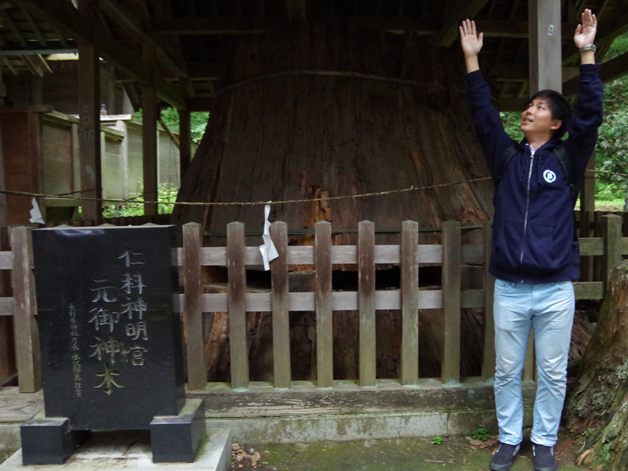 仁科神明宮・元御神木