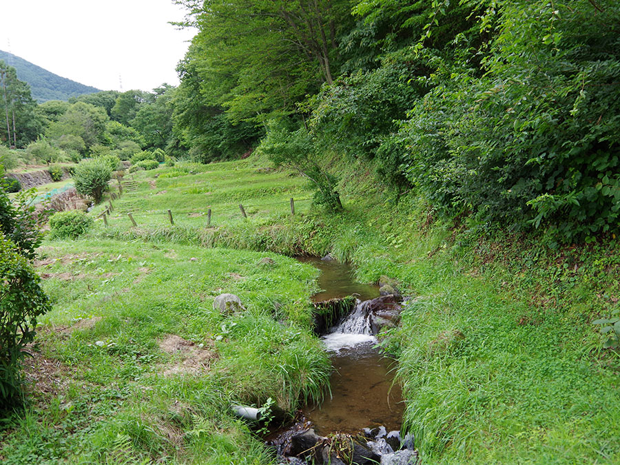 真田氏館跡・大沢川