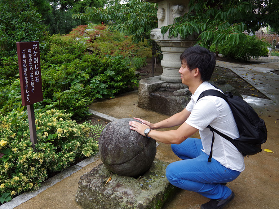 典厩寺・ボケ封じの石
