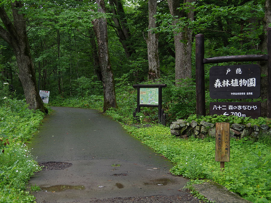 戸隠神社奥社・九頭龍社