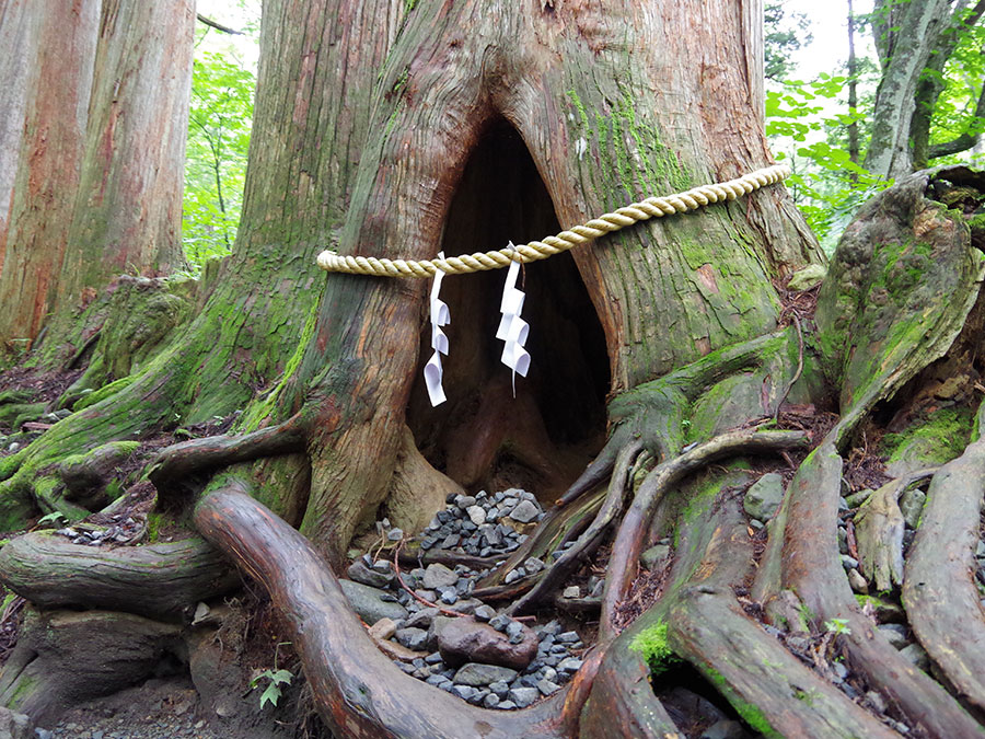 戸隠神社奥社・九頭龍社