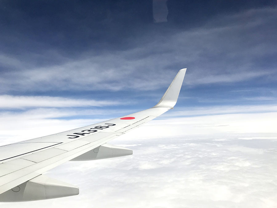 上空のJALの翼