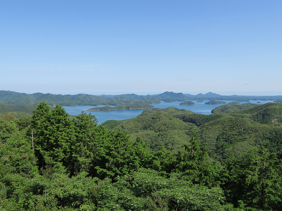 浅茅湾