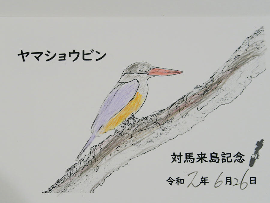 塗り絵体験の完成品