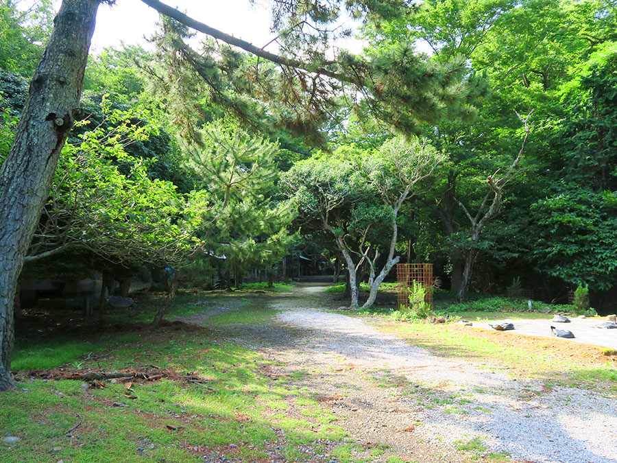 海神神社の参道
