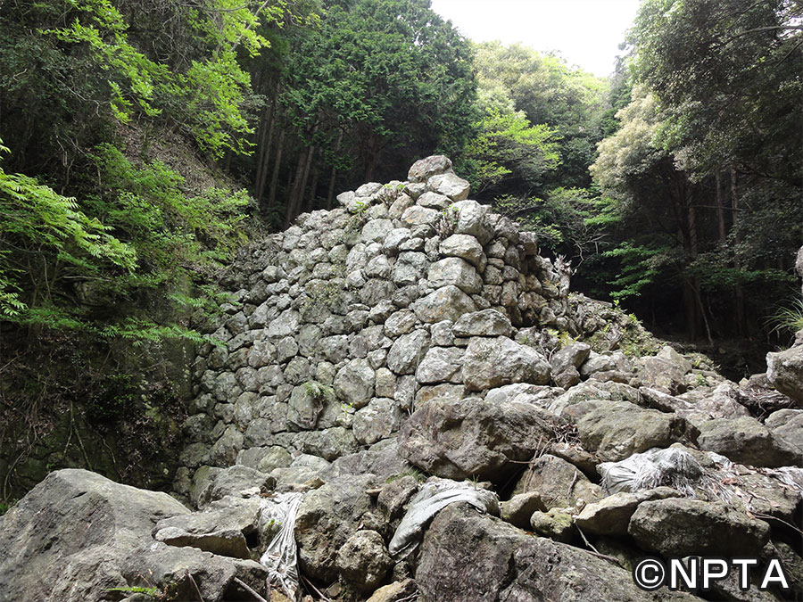 金田城