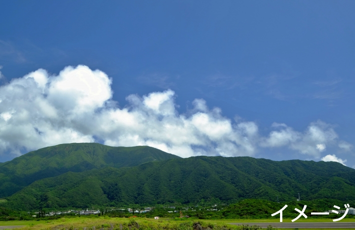 八丈島の自然体験プラン