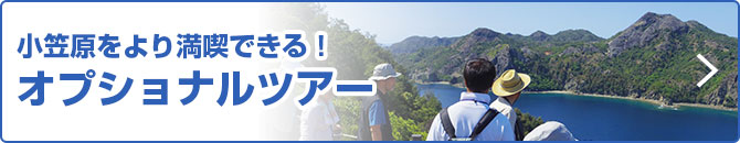 オプショナルツアー