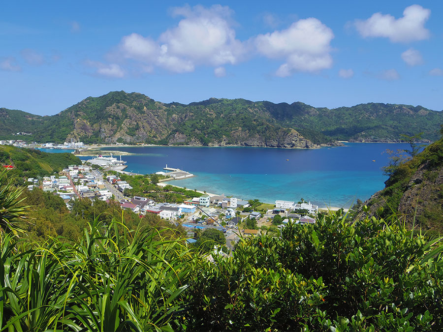 自然散策ツアー