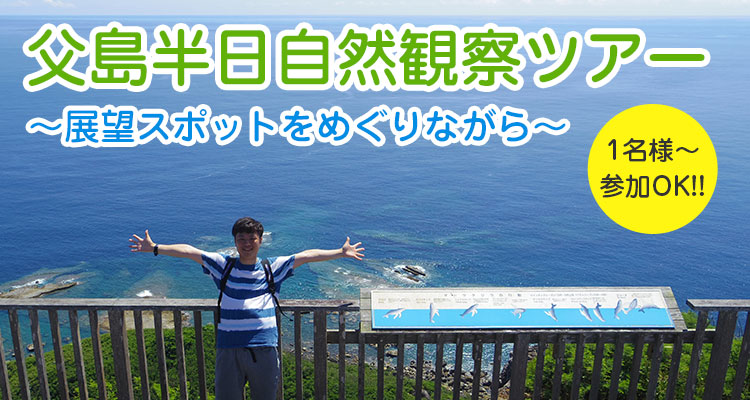 父島半日自然観察ツアー