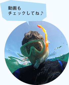 動画もチェックしてね