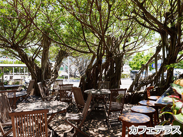 カフェテラス
