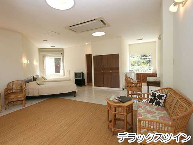 ホテルホライズン・デラックスツイン