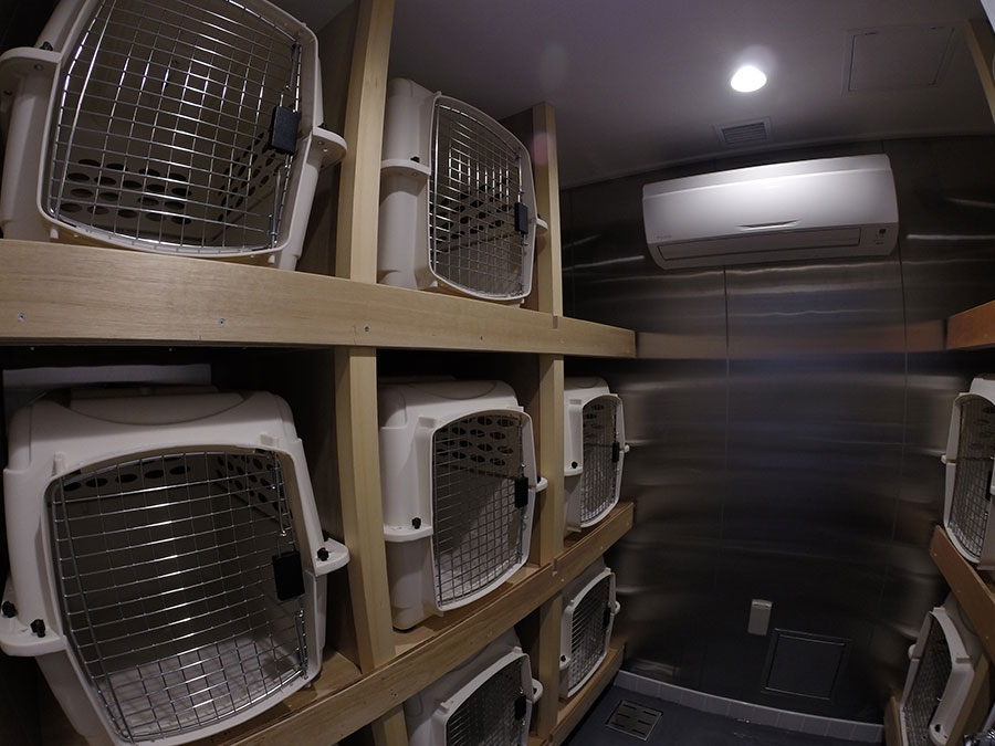 新おがさわら丸のペットルーム