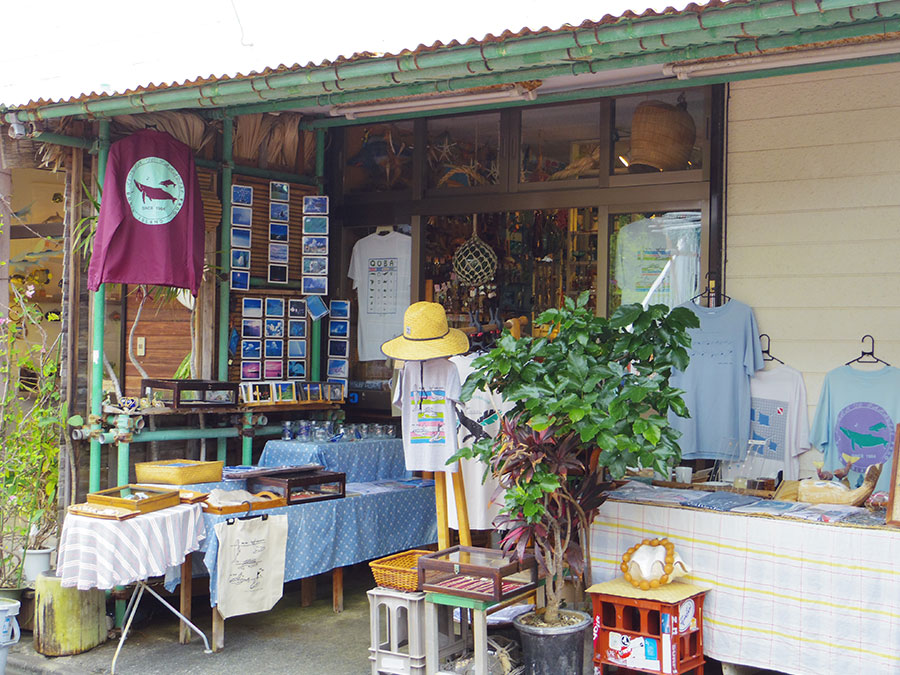 6.バンガロウル