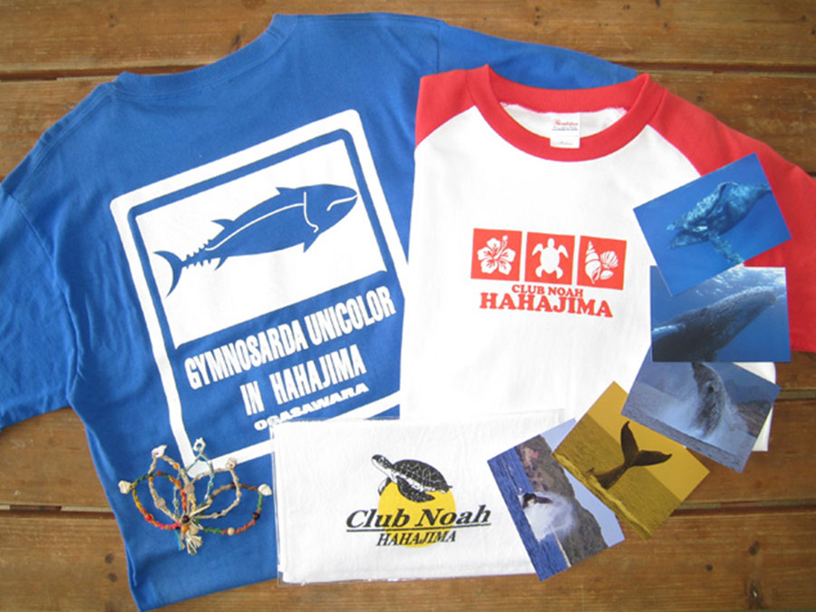 1.クラブノア母島