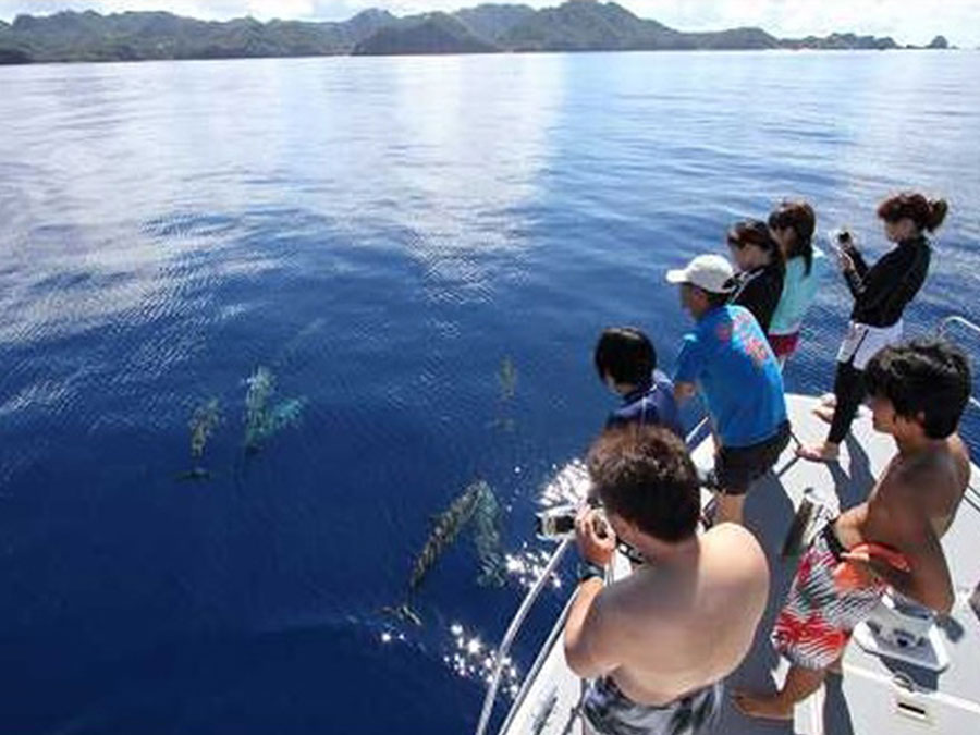 10.ディープブルーオーシャンガイドサービス