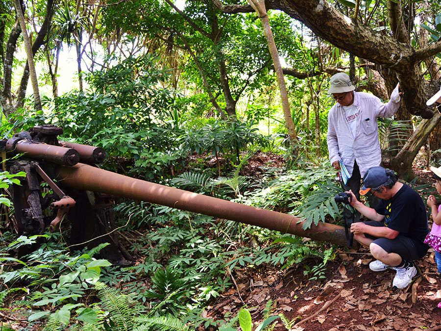 2.アイランドリゾート母島ナンプー