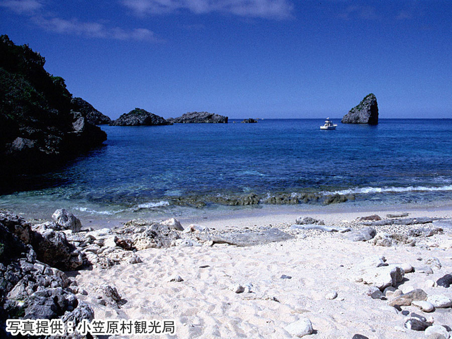 10.ジョンビーチ