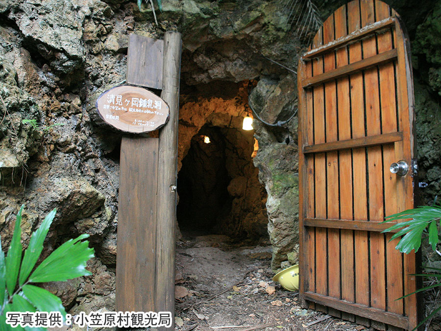 5.清見ケ岡鍾乳洞