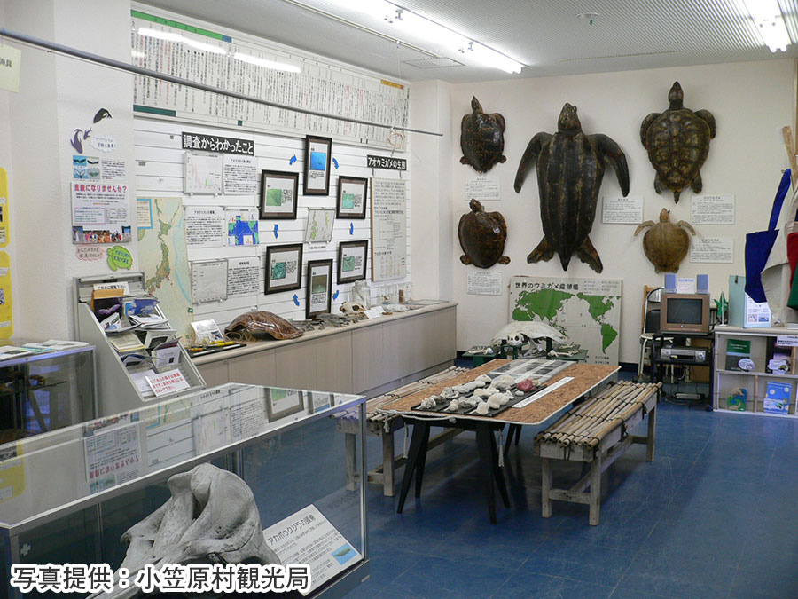 15.小笠原海洋センター