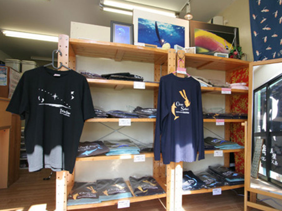 8.小笠原海豚屋