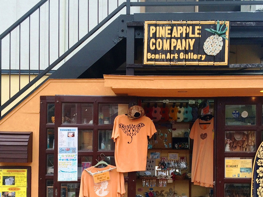 4.PINEAPPLECOMPANY