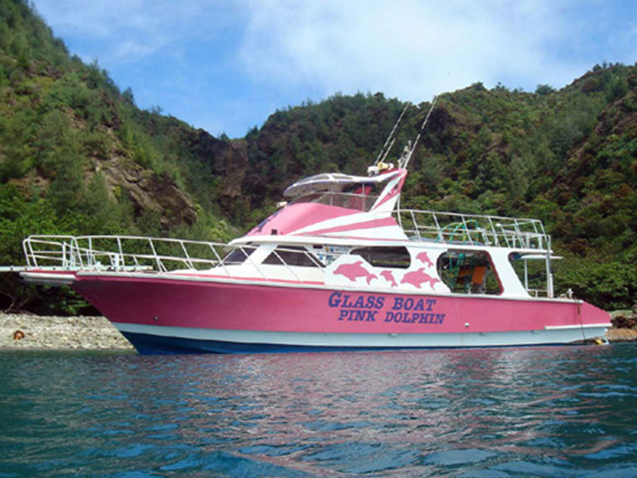 6.父島観光クルーズボート ピンクドルフィン