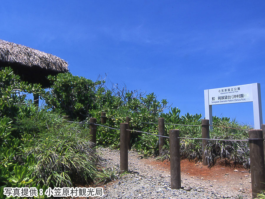 7.鮫ヶ崎展望台