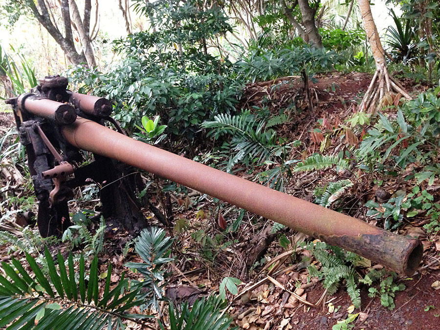3.静沢の森遊歩道