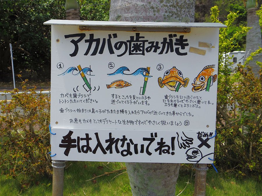 小笠原水産センター