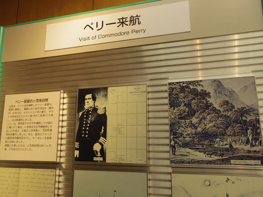 小笠原ビジターセンター