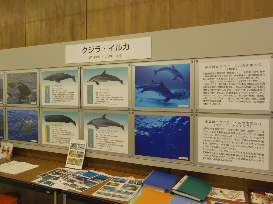 小笠原ビジターセンター