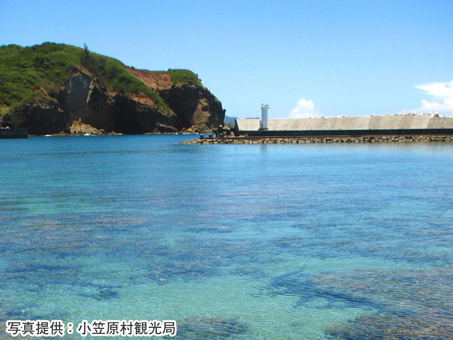 6.脇浜なぎさ公園