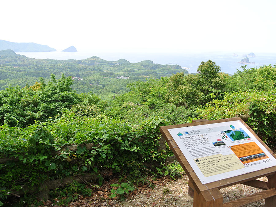 金光寺山