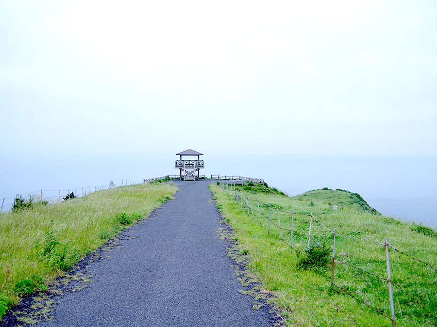 赤尾展望所