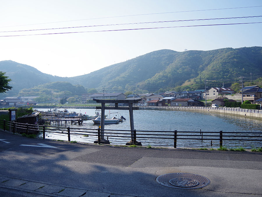 イカ寄せの浜