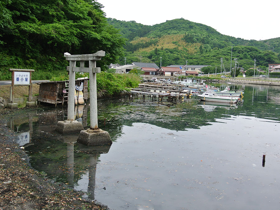 イカ寄せの浜の鳥居