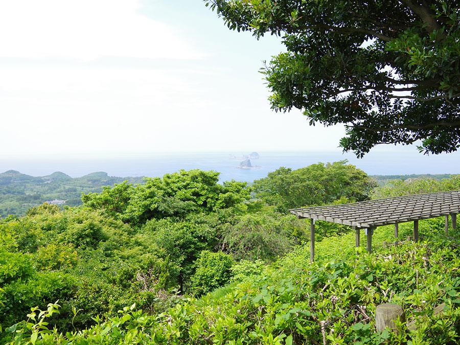 金光寺山