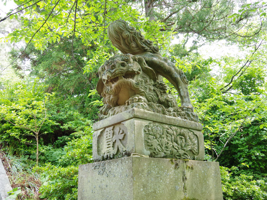 隠岐神社の狛犬